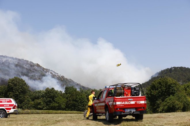 Požar, ki je dopoldne izbruhnil pod hribom Trstelj na Krasu.
FOTO: Rok Perič/STA