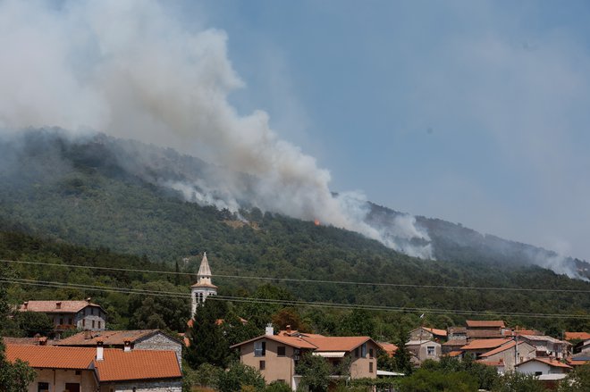 Požar na Krasu FOTO: Leon Vidic/Delo