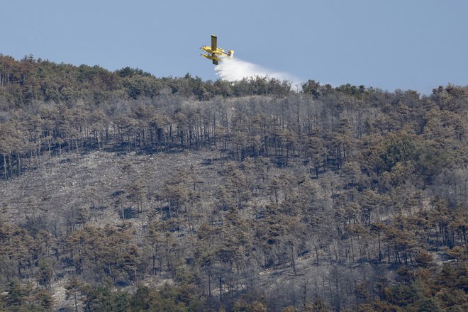 Gasilcem je uspelo ponoči požar omejiti, želja je, da ga danes pogasijo. FOTO: Voranc Vogel/Delo