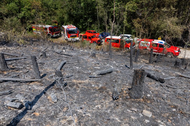 Požar na pobočju Trstelja nad vasjo Škrbina je zajel okoli 90 hektarov pretežno odraslega borovega gozda. FOTO: Voranc Vogel/Delo