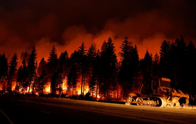 Kalifornijski guverner Gavin Newsom je v boju proti uničujočim gozdnim požarom zaprosil za pomoč Washington. FOTO: Fred Greaves/Reuters