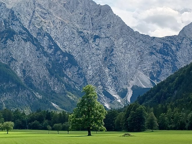 Saj ni res – pa je (bilo). FOTO: Grega Kališnik