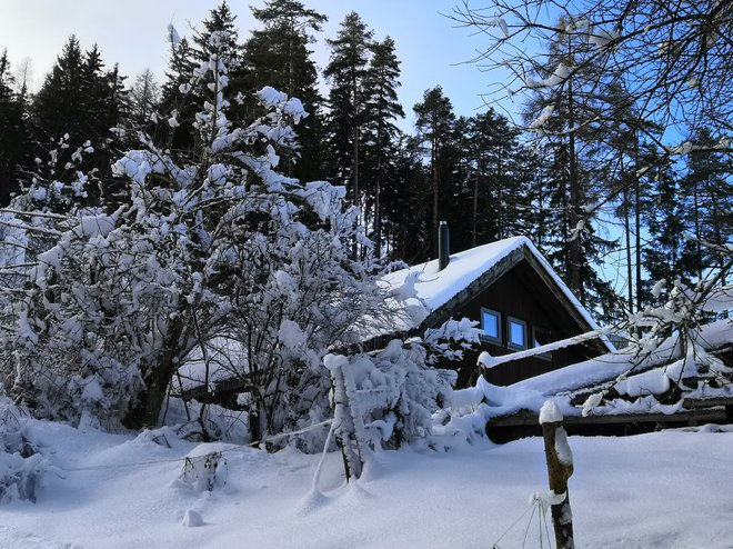 Svoj mali vikend je zlagoma prenovil, tudi s pomočjo prijateljev. Tem delovnim počitnicam so rekli »slovenski gulag«. FOTO: Sam Baldwin