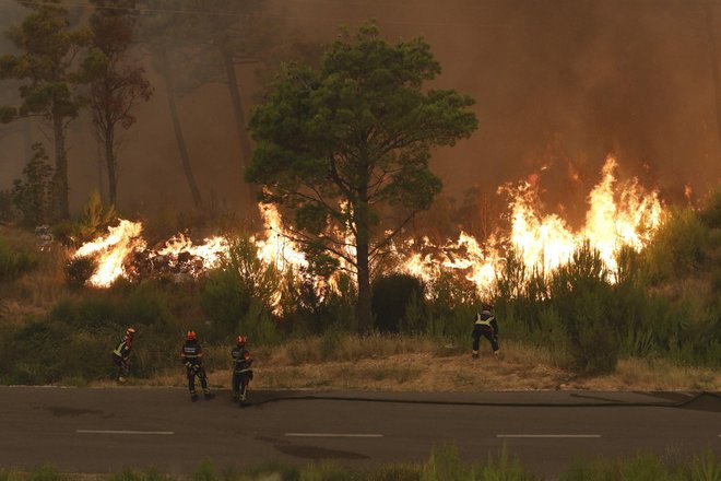 Požar v Tučepih pri Makarski se je spet razplamtel v večernih urah, ogenj se je v Podgori, ki so jo evakuirali, približal hišam. FOTO: Ivo Ravlic/Cropix