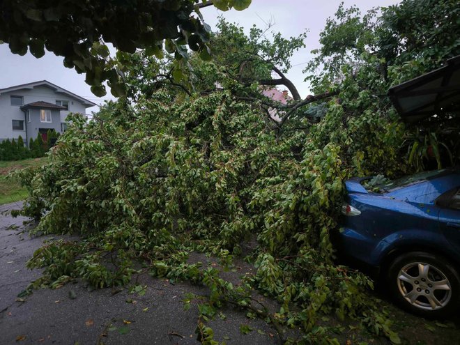 Največje težave je ob nevihtah predstavljal silovit veter, ki je podiral drevesa in lomil veje. FOTO: Neurje.si