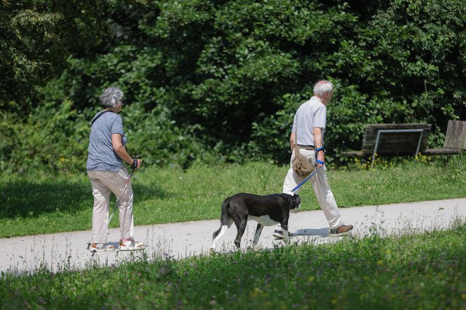 Način usklajevanja pokojnin je za upokojence zelo pomemben; če namreč ne ohranja njihove realne kupne moči in ne sledi rasti plač, jih vodi v revščino, opozarjajo v Susu. FOTO: Črt Piksi/Delo