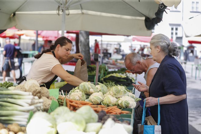 Starejšim vrtičkarjem svetujejo, naj nadaljujejo svojo dejavnost, saj vrtičkarstvo prinaša številne koristi za zdravje in dobro počutje. FOTO: Leon Vidic/Delo