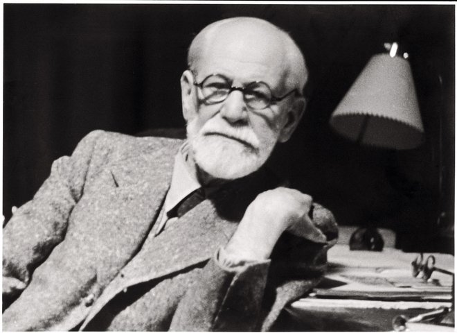 Sigmund Freud že je preučeval psihozo.FOTO: Sigmund Freud Museum/ Ap