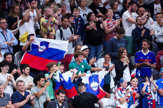 Slovenski navijači so rajali v Lillu. FOTO: Francois Lo Presti/AFP