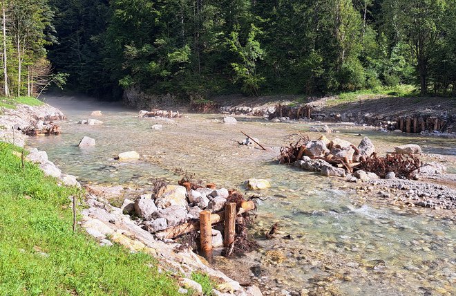 Nad Lučami so s posebnimi ureditvami v Savinji poskrbeli za varovanje brežine, pa tudi umirjanje toka, v njih pa svoja skrivališča najdejo ribe in druge živali. FOTO: Špela Kuralt/Delo