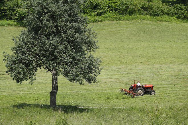 Fotografija je simbolična. FOTO: Leon Vidic/Delo