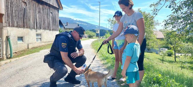 Policija opozarja, da imajo lastniki svoje pse na javnih krajih na povodcih, saj so zaradi neprivezanih psov obravnavali kar nekaj ugrizov ljudi in živali. FOTO: PU Celje