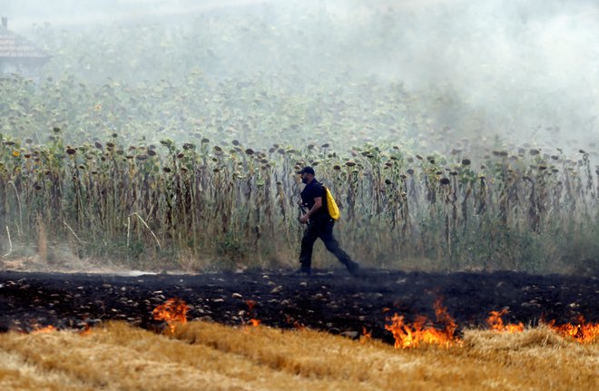 Najhujši požar, ki traja že več kot 20 dni, je na območju občine Makedonski Brod v osrednjem delu države. FOTO: Ognen Teofilovski/Reuters