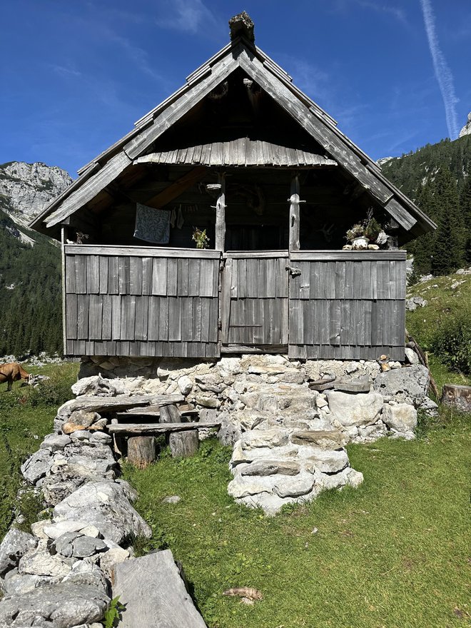 Petričev stan, kjer je nekoč poletja preživljal Dane Zajc, je zdaj muzejček. FOTO: Simona Bandur