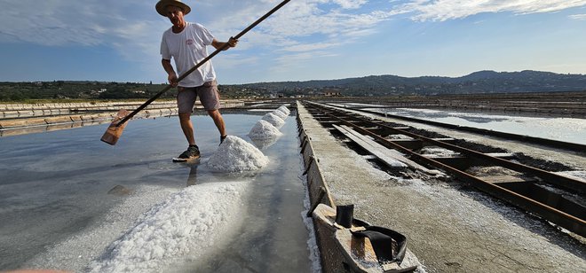 Se todos os produtores de sal recolhessem tanto como Osman Dedić, produziriam bem mais de 2.500 toneladas este ano. Foto de Boris Suligoj