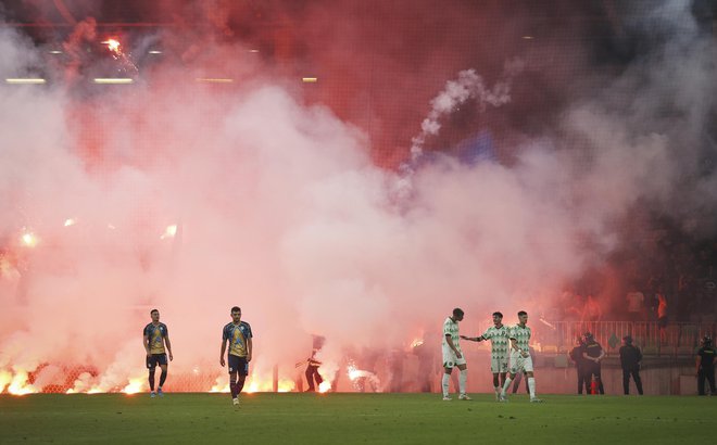 Olimpijina igra je navdušila, ugotovitve, da je na tekmi manjkala kar tretjina varnostnikov, pa so skrb vzbujajoče. FOTO: Jože Suhadolnik/Delo