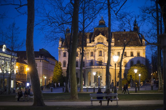 To je bila največja visokošolska afera v Sloveniji. Foto Jure Eržen