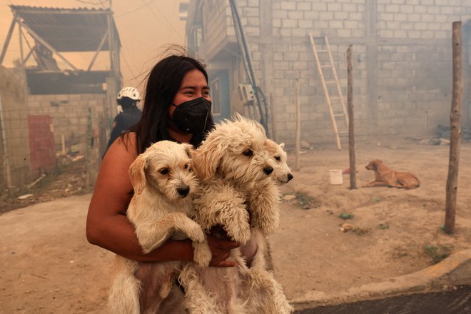 V mestu Tumbaco v Ekvadorju ženska s hišnima ljubljenčkoma beži na varno pred dimom, ki je nastal zaradi gozdnih požarov. Foto: Karen Toro/Reuters