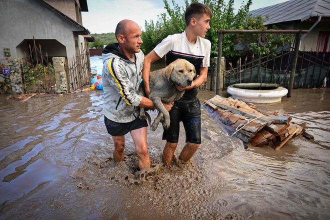 Reševanje psa v romunski vasi Slobozia Conachi. FOTO: Daniel Mihailescu/Afp