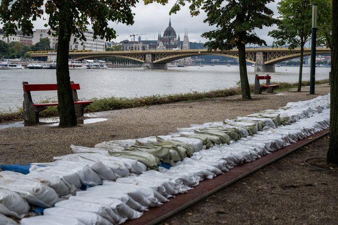 Gladino Donave nemirno opazujejo tudi na Madžarskem. FOTO: Marton Monus/Reuters