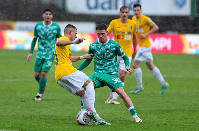 V ljubljanskem derbiju bo bo Olimpija igral brez kaznovanega in najboljšega igralca Raula Florucza, Jakoslab S tanković ap bo eden od močnih Bravovih adutov. FOTO: Blaž Samec/Delo