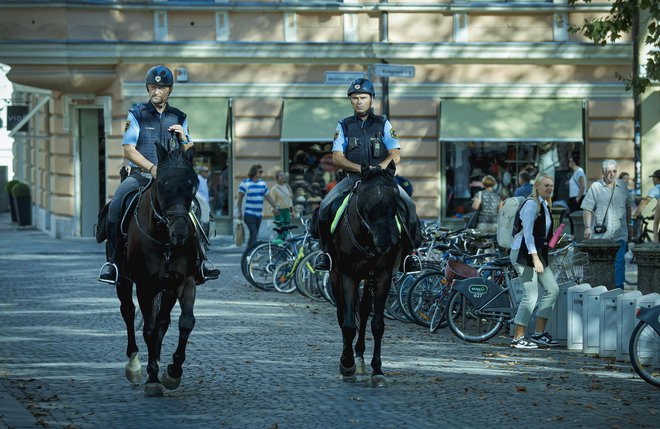 Tako policisti in vojaki na eni strani kot zdravniki na drugi menijo, da bi morali imeti svoj lastni steber. FOTO: Jože Suhadolnik