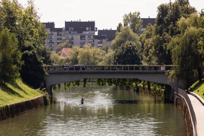 Že pred leti je bila dana obljuba, da bo Ljubljanica primerna za kopanje, a je izziv – razlogi so opisani v članku – trd oreh. FOTO: Črt Piksi

 