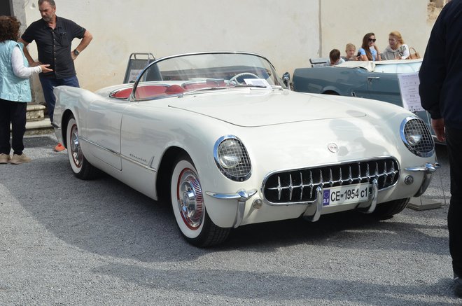 Chevrolet cobra C1: ameriških avtomobilov je bilo v Bistri še kar nekaj. FOTO: Gašper Boncelj