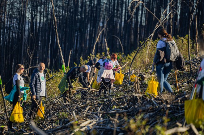 FOTO: Zavarovalna skupina Sava