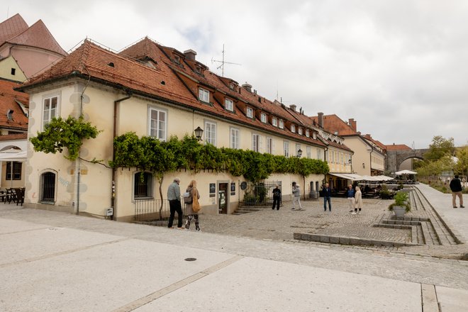 Pred Hišo Stare trte se vrstijo skupinski ali posamični obiskovalci in se želijo slikati pred rastlino, ki na obzidju vztraja že skoraj pol stoletja. Foto Črt Piksi