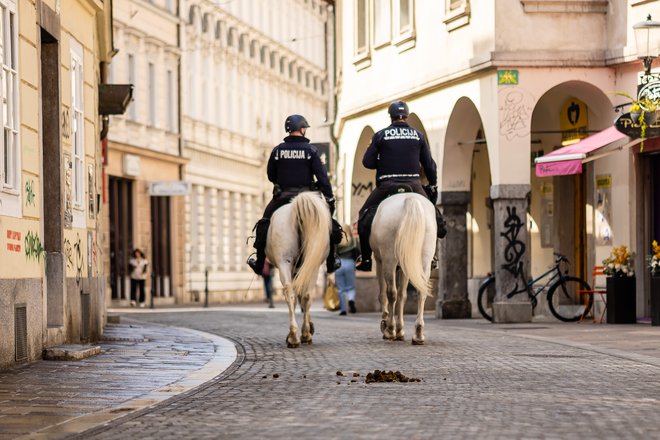 Po dosegljivih podatkih novi plačni sistem ne vsebuje varovalk, če javnofinančni cilji niso doseženi. Kaj se bo zgodilo v primeru gospodarskega zastoja in zmanjšanja davčnih prilivov? Foto Črt Piksi