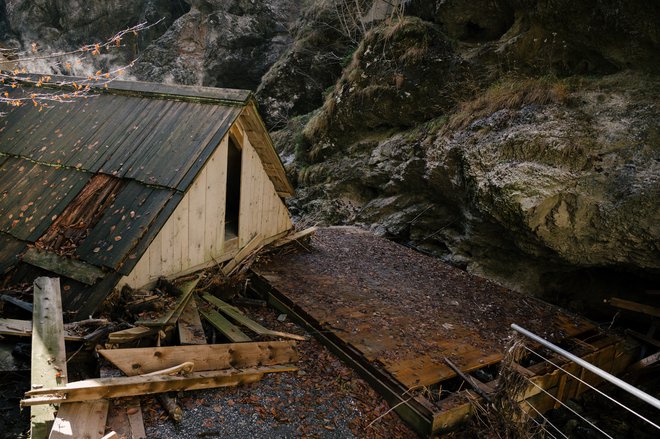 Lansko neurje je Franjo močno poškodovalo. FOTO: Sašo Tušar