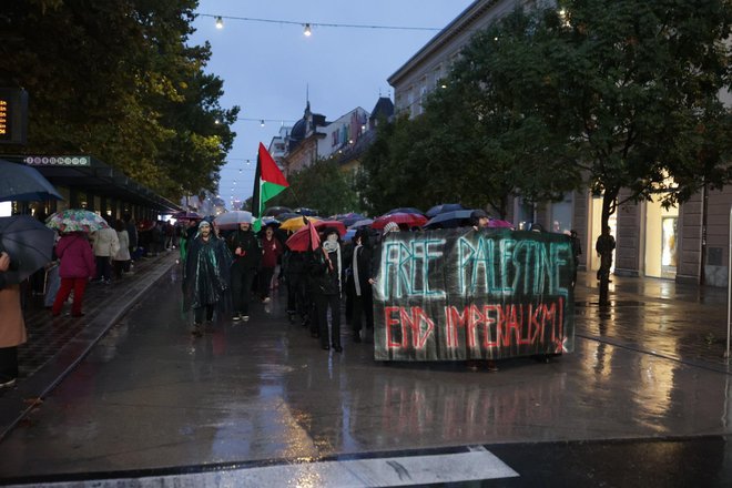 Protestniki so se sprehodili po Ljubljani. FOTO: Črt Piksi