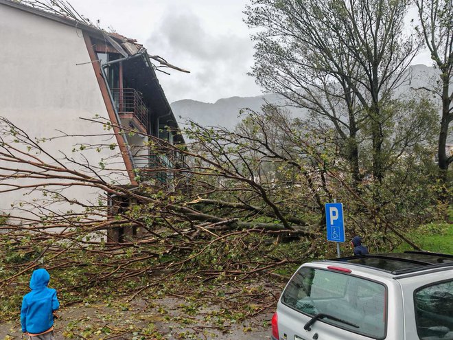 Posledica včerajšnje burje v Ajdovščini. Sunki vetra so dosegali hitrosti do 130 kilometrov na uro. FOTO: Martin Vidmar 