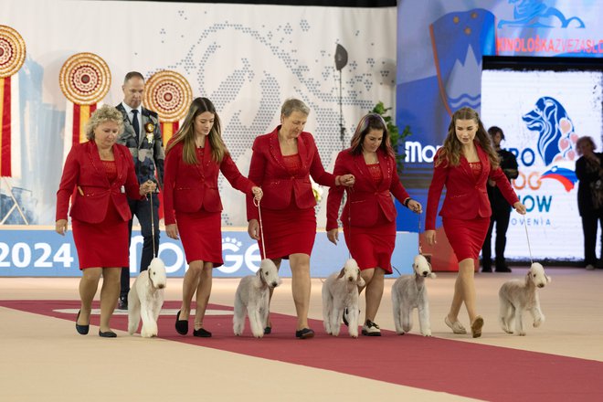 Urejeni niso le psi, ampak tudi njihovi vodniki in vodnice. FOTO: Kinološka zveza Slovenije