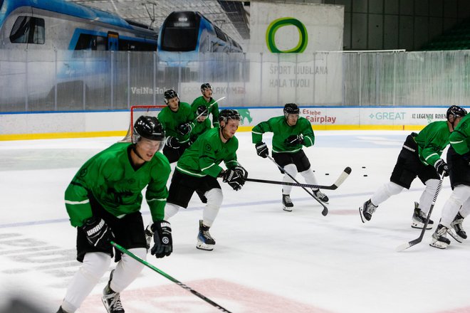 Hokejistom Olimpije se bo pridružil Rudolf Červeny. FOTO: Črt Piksi/Delo