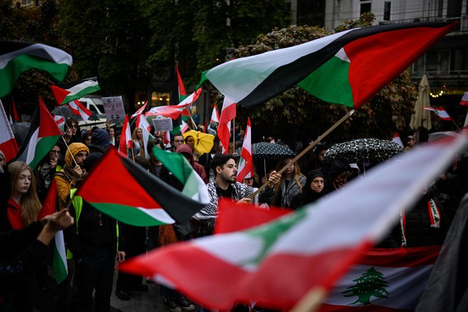 Skupina 32 poslancev opozicijskih strank SDS in NSi je 3. julija na ustavno sodišče vložila zahtevo za oceno ustavnosti in zakonitosti sklepa o priznanju Palestine, ki ga je državni zbor sprejel 4. junija. FOTO: Nikolay Doychinov/AFP