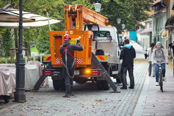 Na drevesa, drogove in objekte bodo izobesili okoli 50 kilometrov lučk.  FOTO: Črt Piksi/Delo