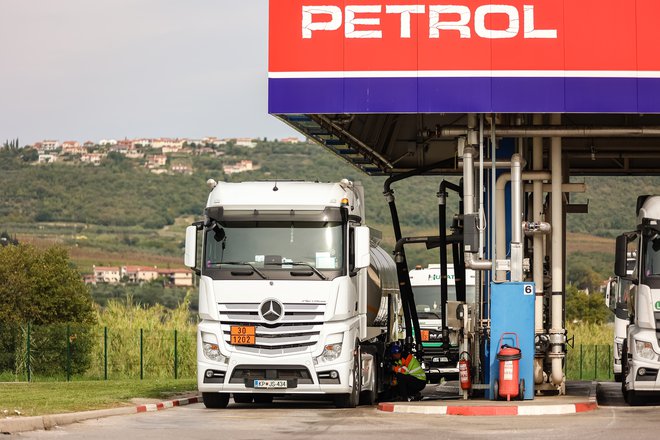 Petrol bo moral pred ustavnim sodiščem izčrpati redna pravna sredstva. FOTO: Črt Piksi/Delo