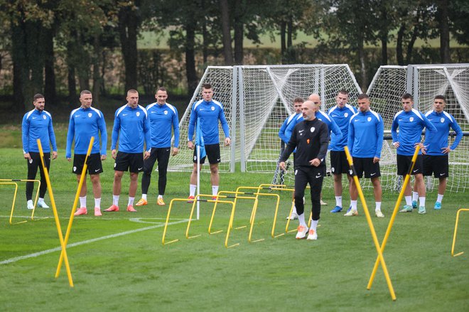 Luka Brkljača ostaja del reprezentance. FOTO: Voranc Vogel