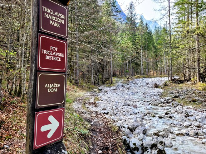 Več kot tretjina turistov, ki pridejo v Slovenijo, obišče Julijske Alpe oziroma Triglavski narodni park. FOTO: Tina Horvat