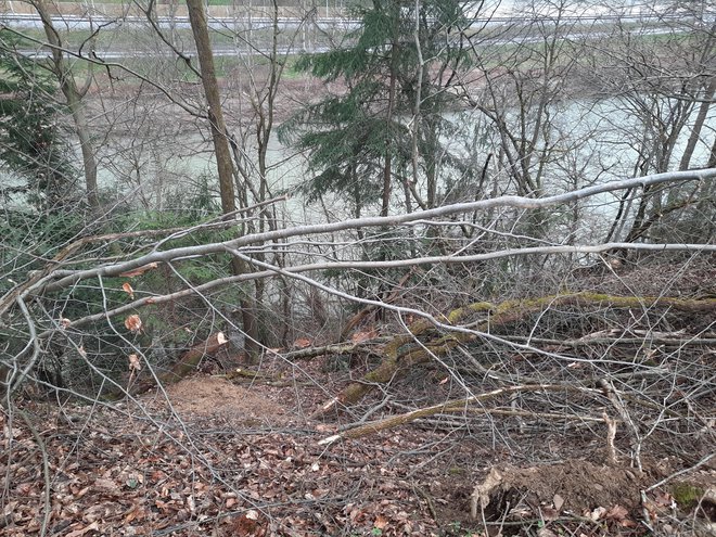 Predstavniki občine so marca odpeljali na teren predstavnike zavoda za varstvo narave, direkcije za vodo
in projektanta, da bi jim pokazali, kako sta v naravi videti Natura 2000 in naravna vrednota. FOTO: arhiv občine Laško