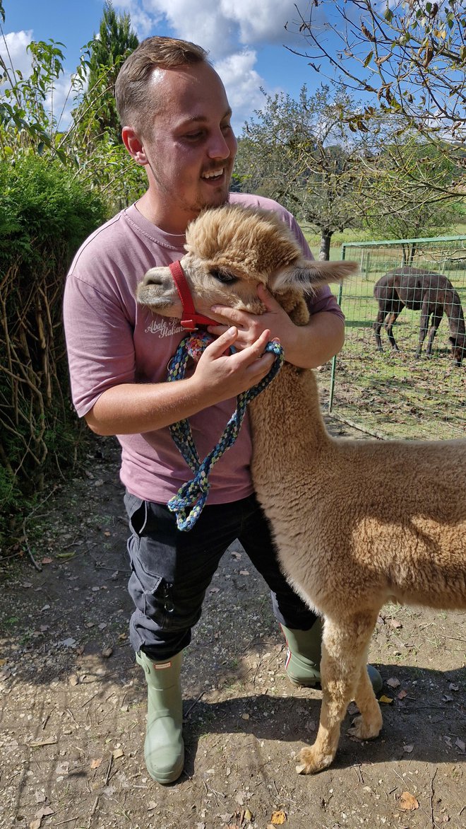 Prvih pet alpak je Miha Pirš kupil bolj kot ne za hišne ljubljenčke, potem pa je začel na posestvu babice in dedka skupaj z Jako Rančnikom razvijati turizem. FOTO: Mitja Felc