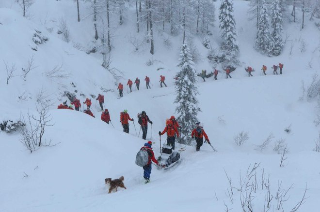 Gorski reševalci društva GRS Bohinj imajo zadnja leta največ intervencij med vsemi društvi GRZS. FOTO: GRS Bohinj