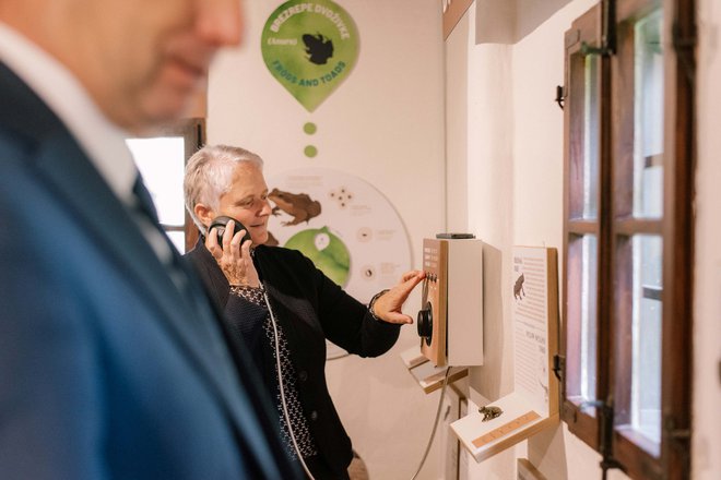 Na Trebčah se neločljivo prepletata naravna in kulturna dediščina. FOTO: Mojca Valenčak