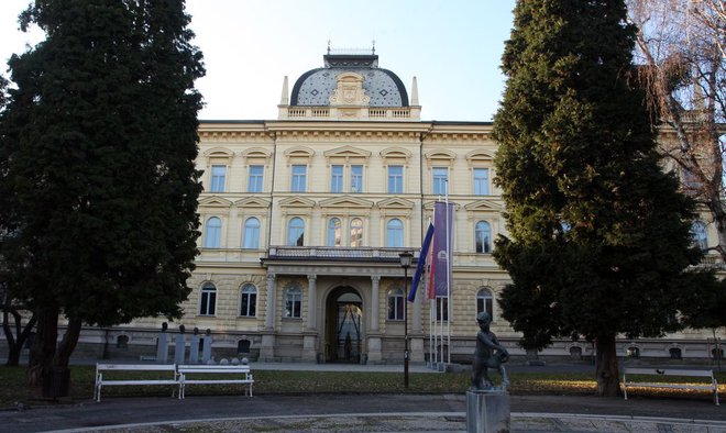 V današnji izjavi za medije so na univerzi zagotovili, da študijski proces poteka nemoteno in se izvaja fizično na članicah univerze. FOTO: Tadej Regent/Delo