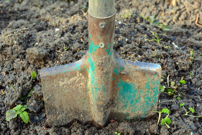 Včasih so ljudje verjeli, da bolj ko nekdo trdo dela, več naredi. FOTO: Shutterstock