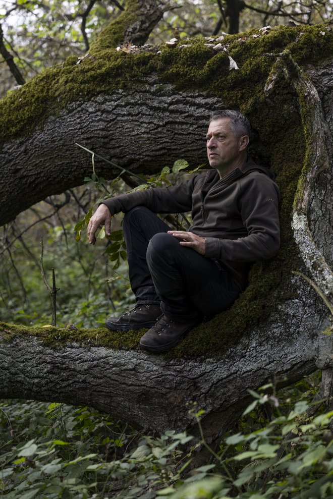 Hrvoje Domazetov, ranger v Kopačkem ritu na Hrvaškem. Ta naravni park v vzhodni Hrvaški ima bogato zgodovino, ki sega v 17. stoletje, ko je bil del posesti Bilje. Njegov pomen zavarovanega območja je v edinstvenem močvirnem ekosistemu, ki podpira raznoliko paleto rastlinskih in živalskih vrst. Kopački rit je ključno gojišče in gnezdišče številnih vrst ptic, med njimi mnogih ogroženih. Hkrati je tudi pomembna vmesna točka za ptice selivke, ki potujejo po koridorjih reke Donave in Drave. FOTO: Matjaž Tančič