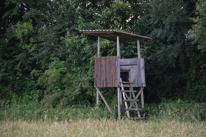 Moški je najprej ustrelil župana, približno pol ure zatem pa še drugo žrtev, nato so se za njim izgubile vse sledi. Fotografija je simbolična. FOTO: Oste Bakal