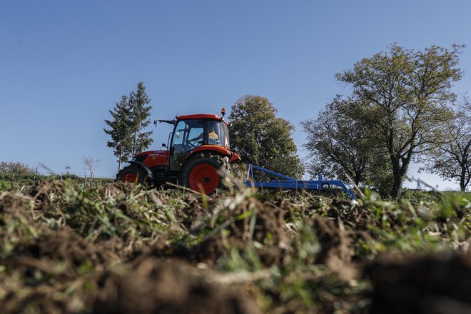 Fotografija je simbolična FOTO: Uroš Hočevar/Delo